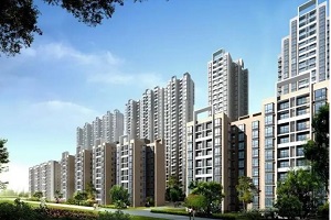 工程管理公司起名字案例