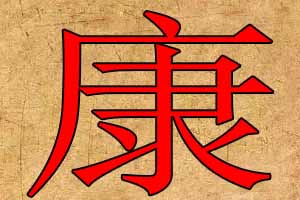 带康字公司取名字