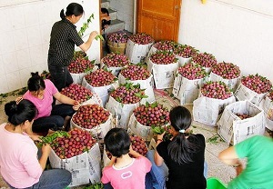 批发公司起名